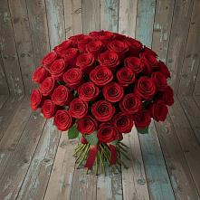 Букет 55 Красных роз Фридом #REPLACE_PRED# Снежинске