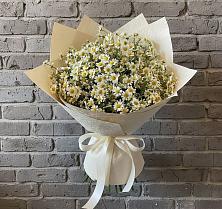Букет цветов из:  Ромашки #REPLACE_PRED# Снежинске
